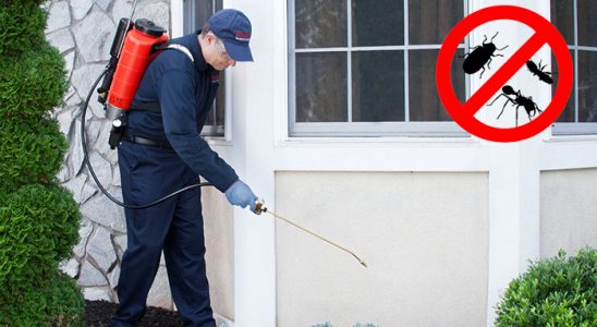 Aşkale Bit İlaçlama böcek ilaçlama ve haşere kontrolü — ilaclama-tr.com